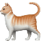 Flico